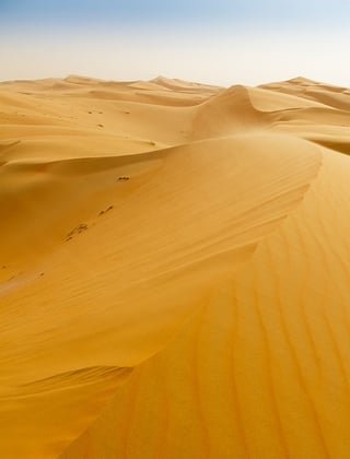 MG_3562.jpg